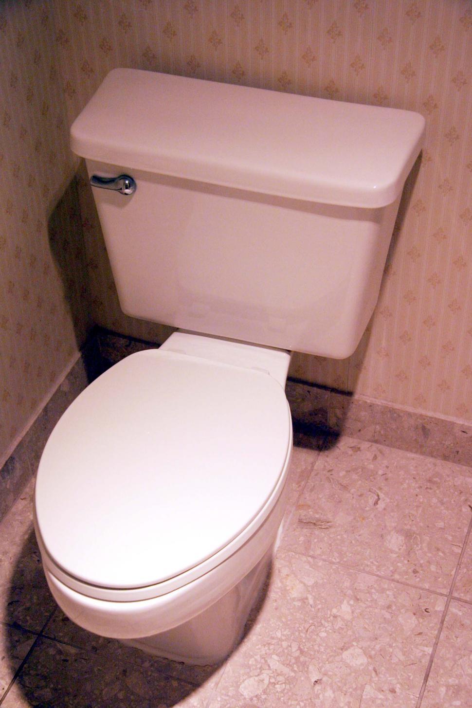 Free Image of It\'s a toilet 